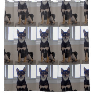 Shiba inu Black tan Jungtier Duschvorhang