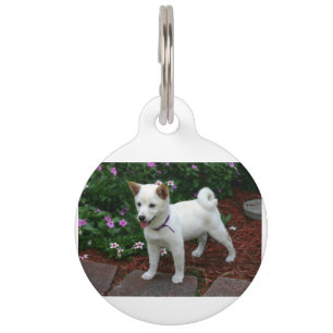 Shiba-inu-Creme Tiernamensmarke
