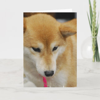 Shiba Inu Dog Grußkarte Karte