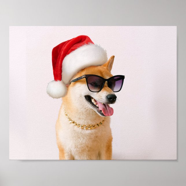 Shiba Inu dog in Santa Claus red hats Poster (Vorne)