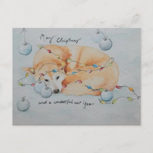 Shiba Inu Dog Weihnachtskarte Postkarte