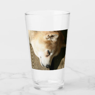 Shiba inu glas