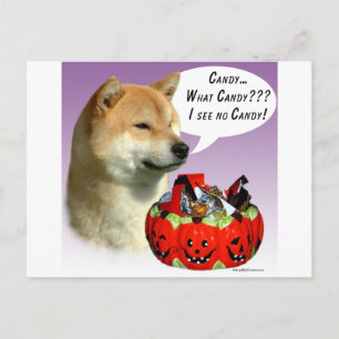 Shiba Inu Halloween Candy Postkarte