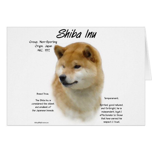Shiba Inu History (Vorderseite (Horizontal))