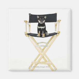 Shiba Inu Hund auf Stuhl Direktors Magnet