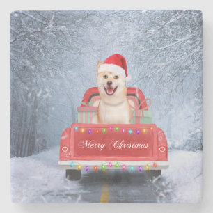 Shiba Inu Hund im Schnee sitzen im Weihnachtswagen Steinuntersetzer