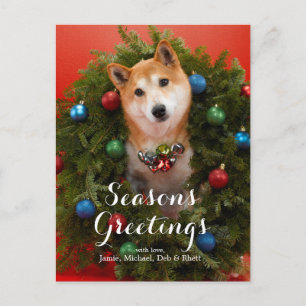 Shiba Inu Hund Postkarte