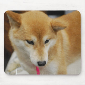Shiba Inu Hundemausunterlage Mousepad