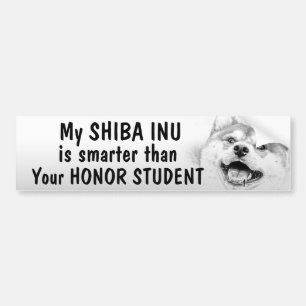 Shiba Inu - intelligenter als Ehrenstudent - Autoaufkleber