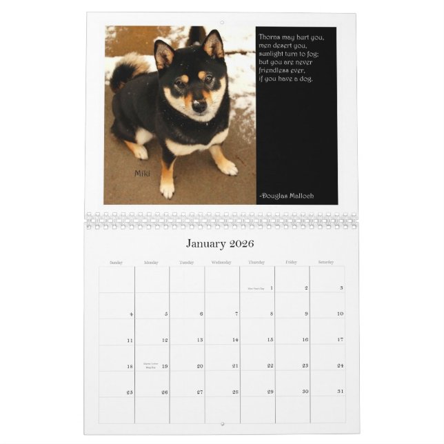 Shiba Inu Kalender 2012 (Jan 2026)
