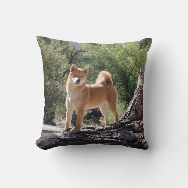Shiba Inu Kissen (Vorderseite)