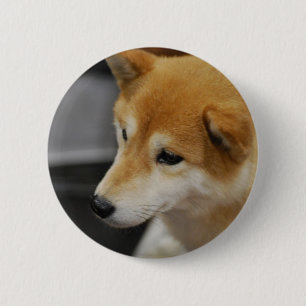 Shiba Inu Knopf Button