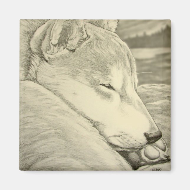 Shiba Inu Kühlschrankmagnet Husky Dog Magnet Gesch (Vorne)