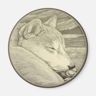 Shiba Inu Kühlschrankmagnet Shiba Inu Dog Magnet G