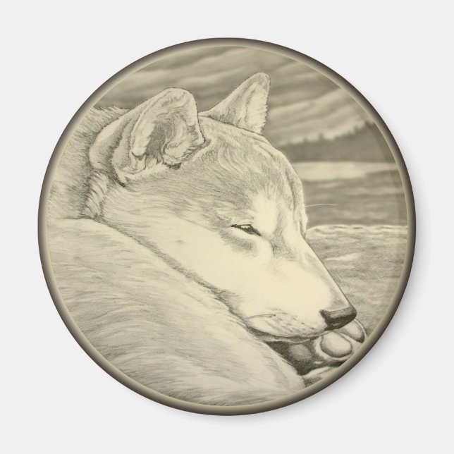 Shiba Inu Kühlschrankmagnet Shiba Inu Dog Magnet G (Vorne)