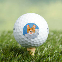 Shiba inu mit Sky Golf Balls Golfball