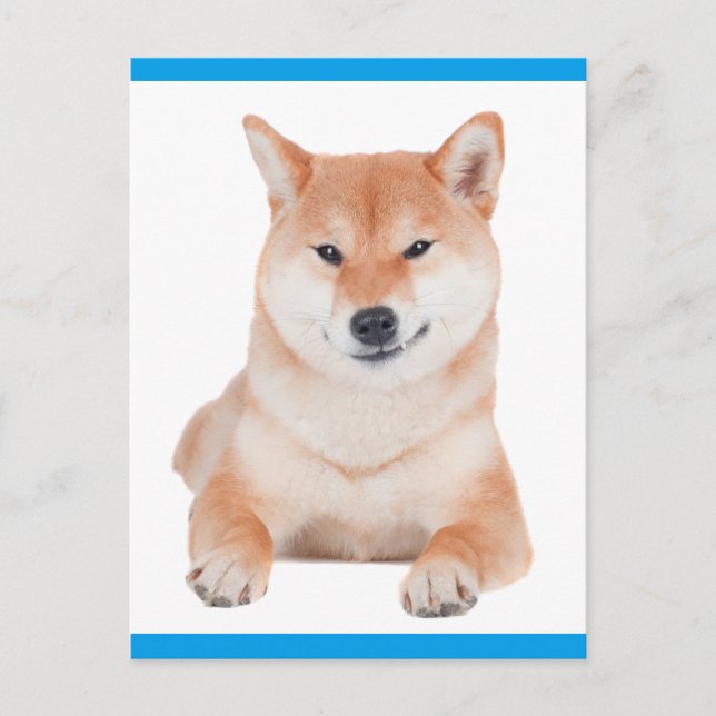 Shiba Inu Puppy Dog Grußkarte Postkarte (Vorderseite)