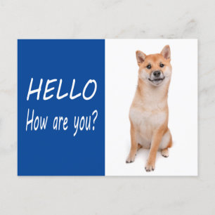 Shiba Inu Puppy Dog Grußkarte Postkarte