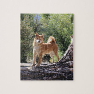 Shiba Inu Puzzle
