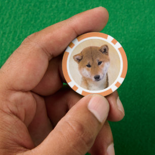 Shiba Inu (Rot) Malerei - Original Hunde Kunst Pokerchips