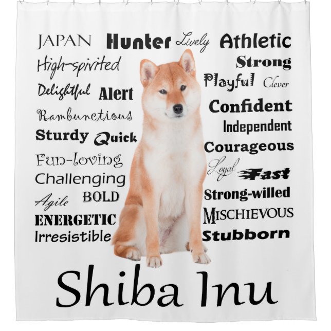 Shiba Inu Tracks Duschvorhang (Vorderseite)