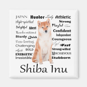 Shiba Inu Traits Magnet