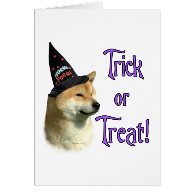 Shiba Inu Trick (Vorne)