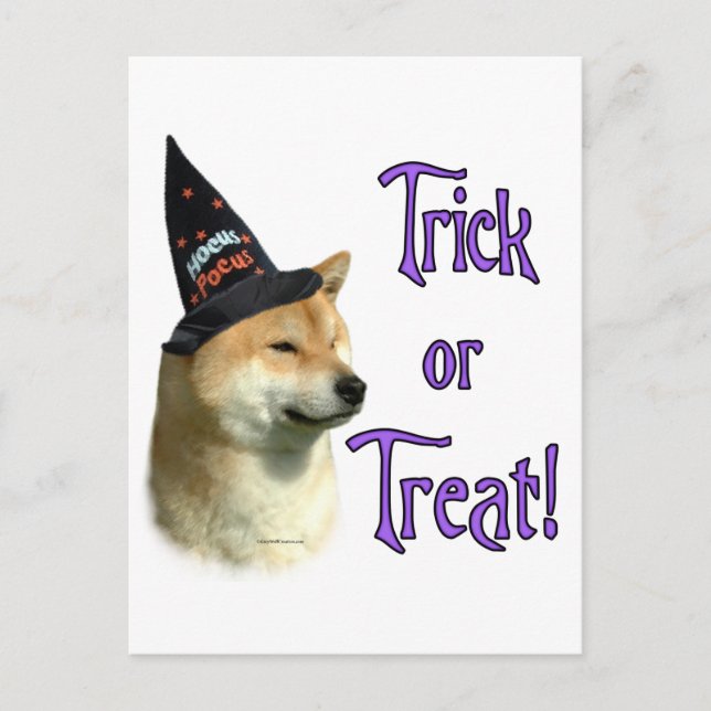 Shiba Inu Trick Postkarte (Vorderseite)