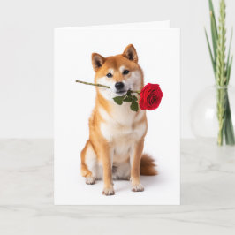 Shiba Inu Valentinstag Karte