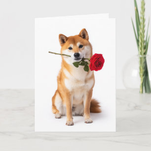 Shiba Inu Valentinstag – Stille Hingabe Karte