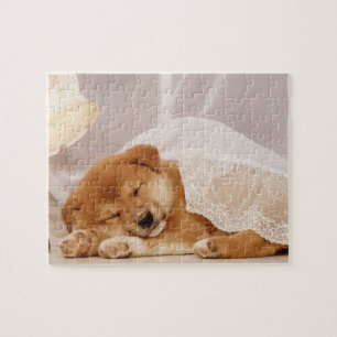 Shiba Inu Welpe, die unter einem Netzvorhang schlä Puzzle