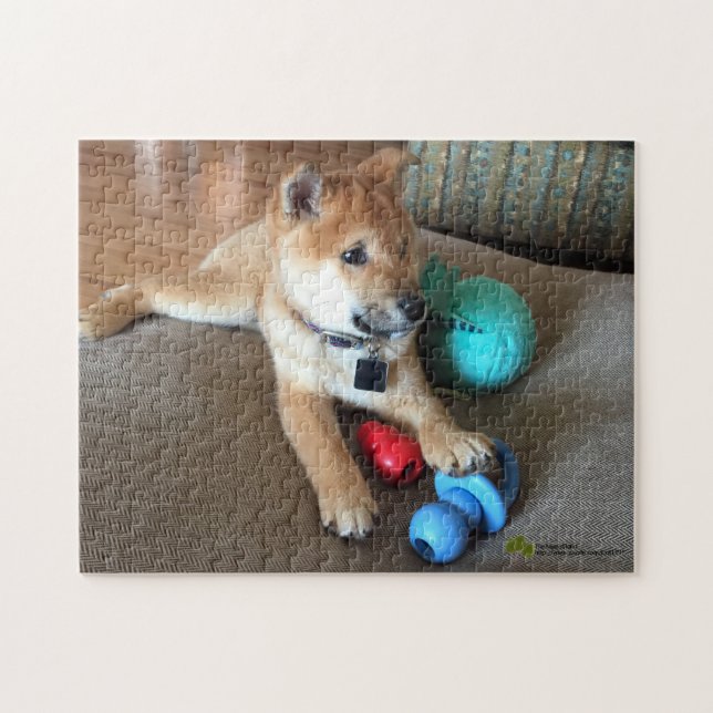 Shiba Inu Welpe mit farbigem Spielzeugfoto Puzzle (Horizontal)