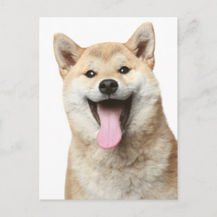 Shiba Inu Welpen-Hund Grußpostkarte Postkarte