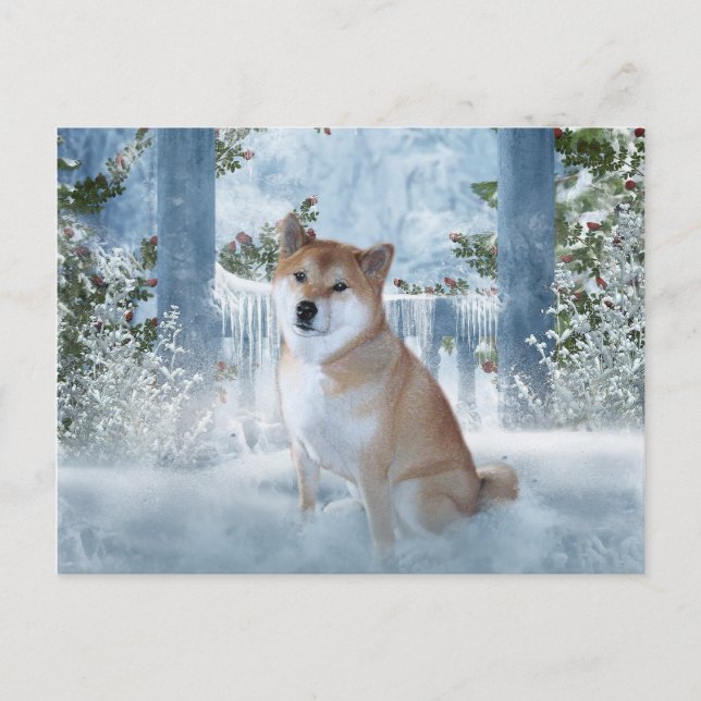 Shiba Inu Winter Postcard Postkarte (Vorderseite)