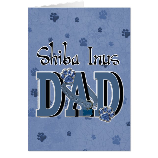 Shiba Inus VATER (Vorne)
