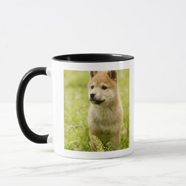 Shiba-Ken Welpe Tasse (Links)