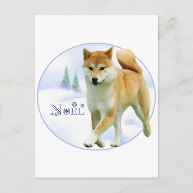 Shiba Weihnachten (Vorderseite)