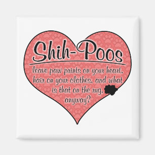 Shih-Poo Paw Prints Hunde Humor Magnet