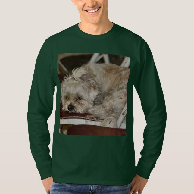 Shih poo T-Shirt (Vorderseite)