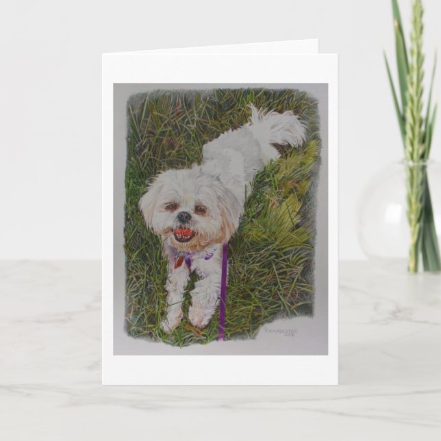 Shih Tzh, ein Rettungshund namens Spirit Karte (Vorderseite)