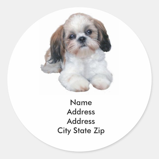 Shih Tzu Address Label Runder Aufkleber (Vorderseite)