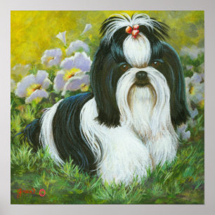 Shih Tzu Art Print auf Leinwand Poster
