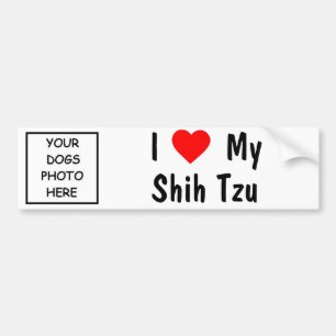 Shih Tzu Autoaufkleber