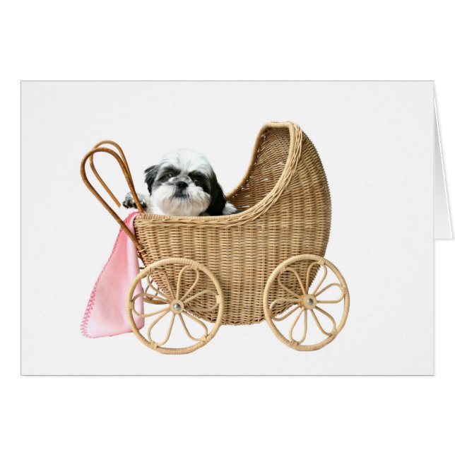 Shih Tzu baby Buggy (Vorderseite (Horizontal))