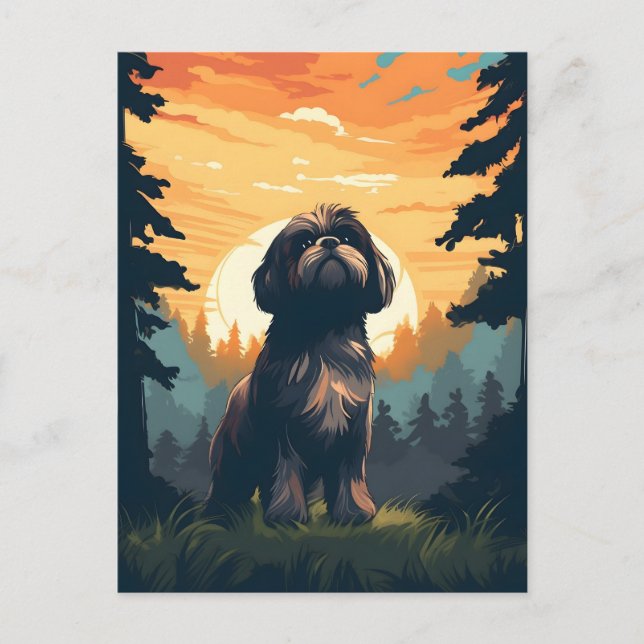 Shih Tzu bei Sonnenuntergang im Wald Postkarte (Vorderseite)