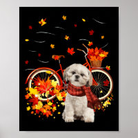 Shih Tzu Bike Herbst Hund Leaf Fall Spaß Herbst Y