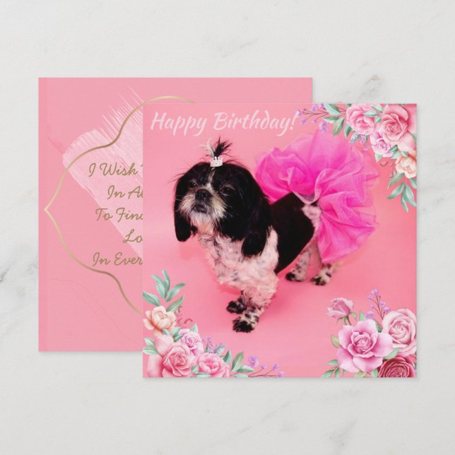 Shih Tzu Birthday Feiertagskarte (Vorne/Hinten)