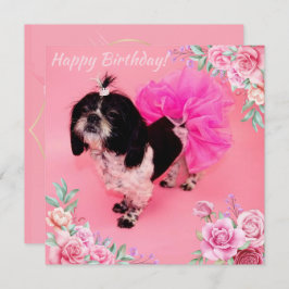 Shih Tzu Birthday Feiertagskarte