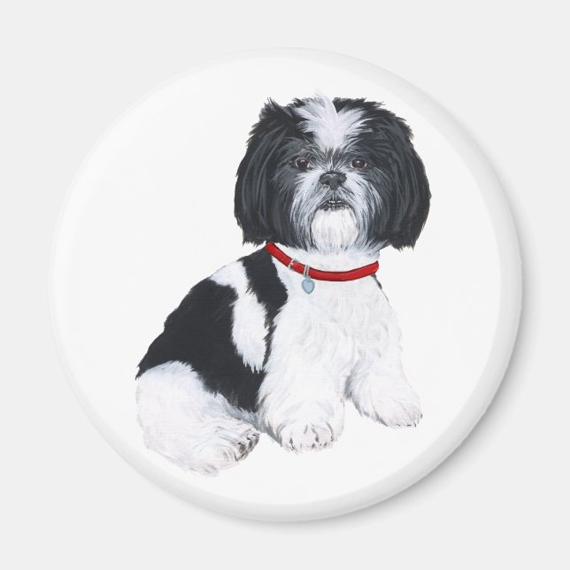 Shih Tzu Black & White Magnet (Vorne)