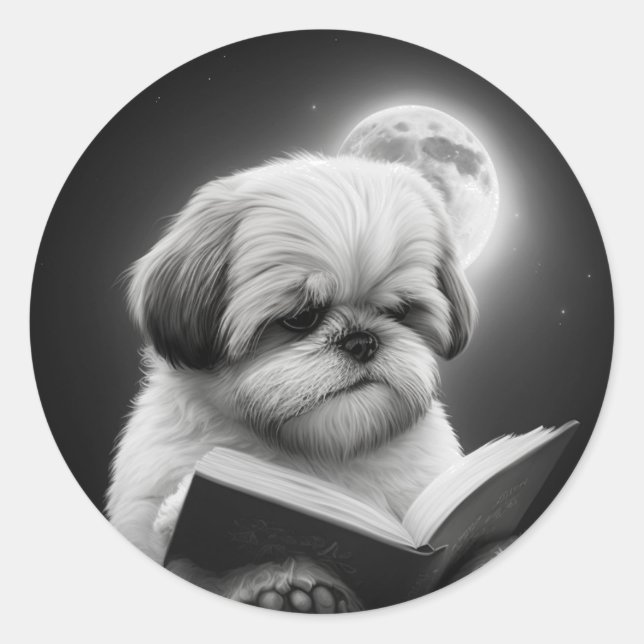 Shih Tzu Book Reading Runder Aufkleber (Vorderseite)